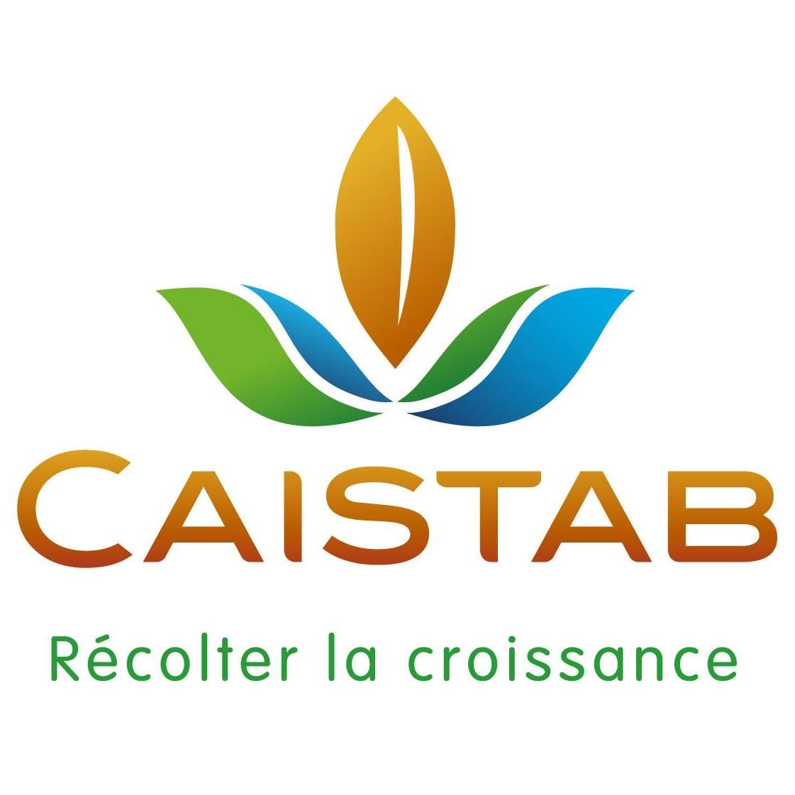 Caistab : Caisses de Stabilisation et de Péréquation